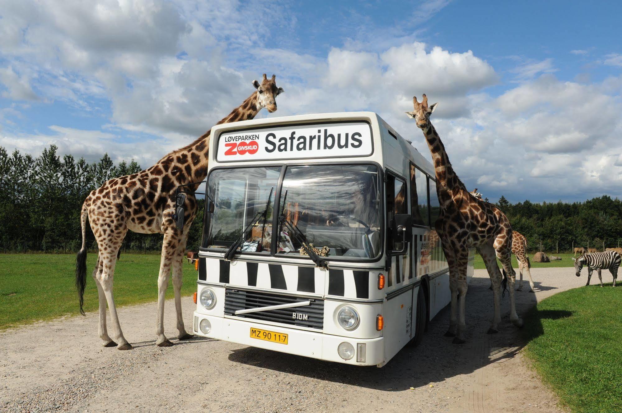 Givskud Zoo Hostel Exteriér fotografie